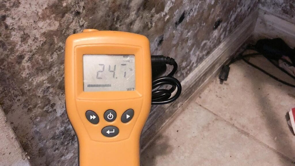 Mr Mold Inspector