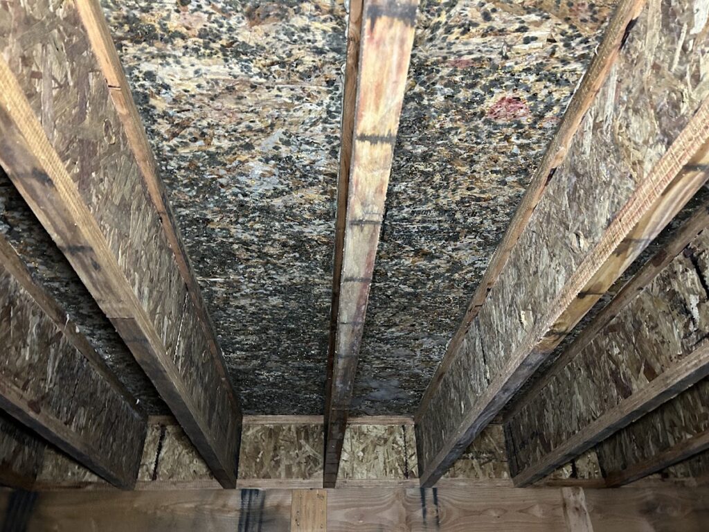 Mr. Mold LLC