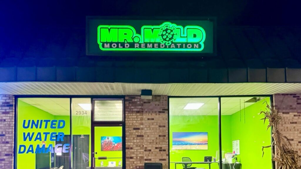 Mr. Mold of Detroit