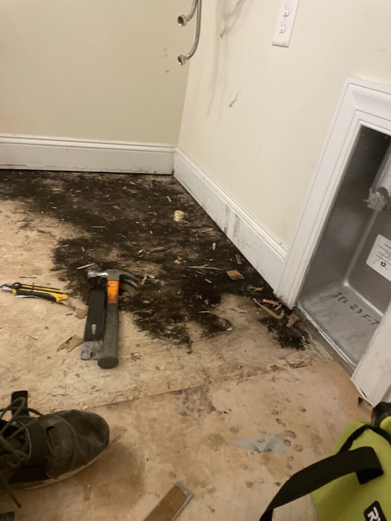 NC Water And Mold