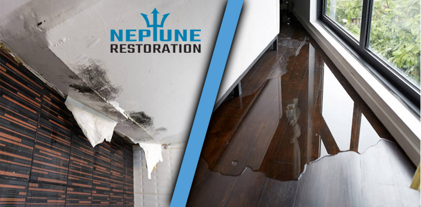 Neptune Restoration