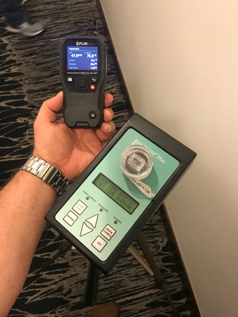 NEW YORK MOLD ASSESSORS