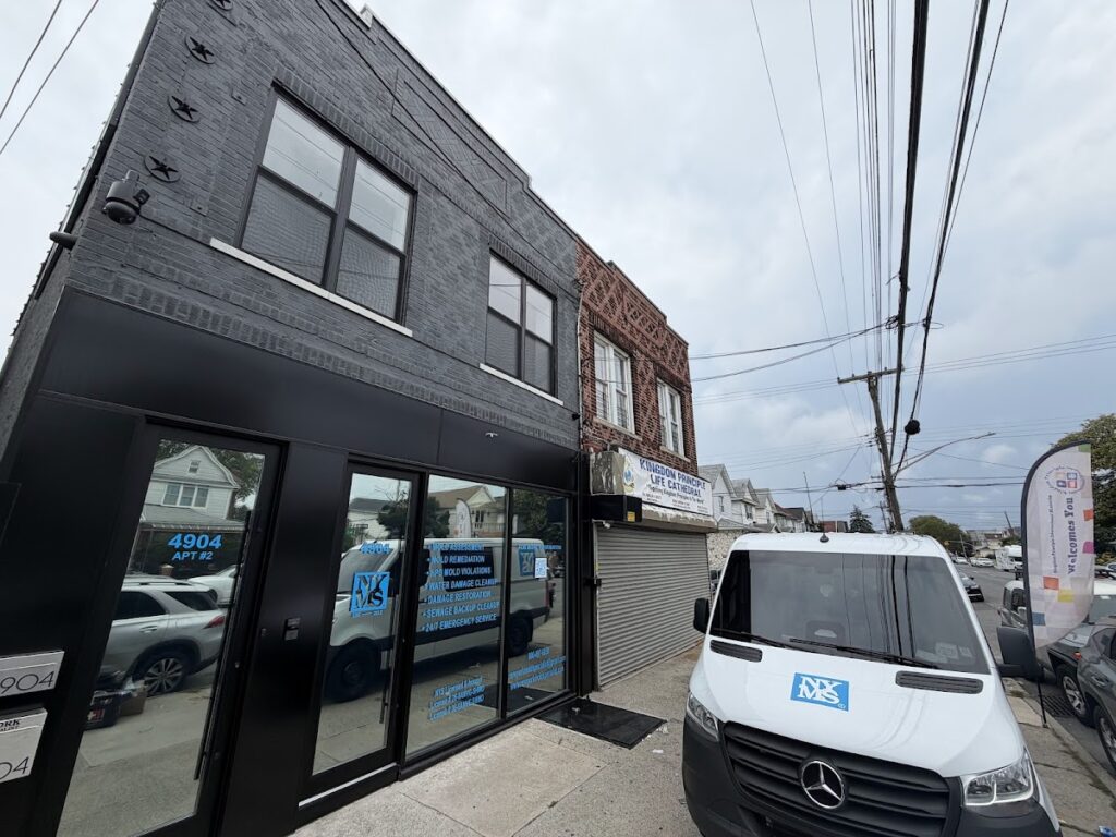 New York Mold Specialist