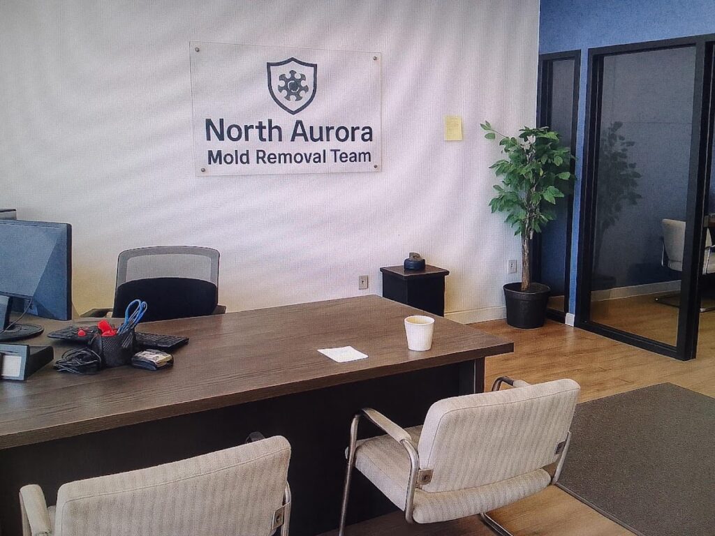 North Aurora Mold Removal Team