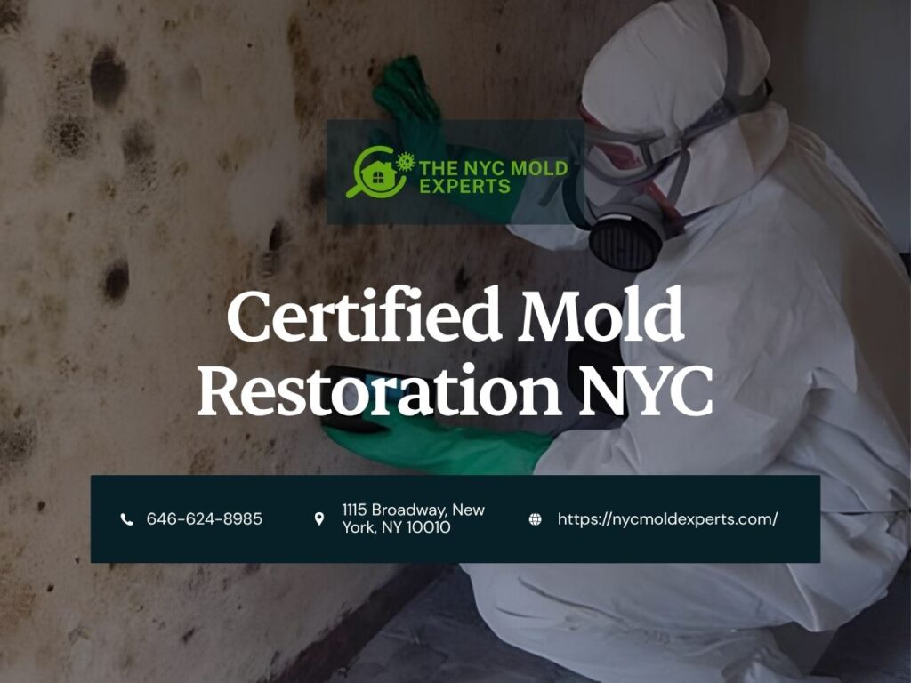 NYC Mold Experts