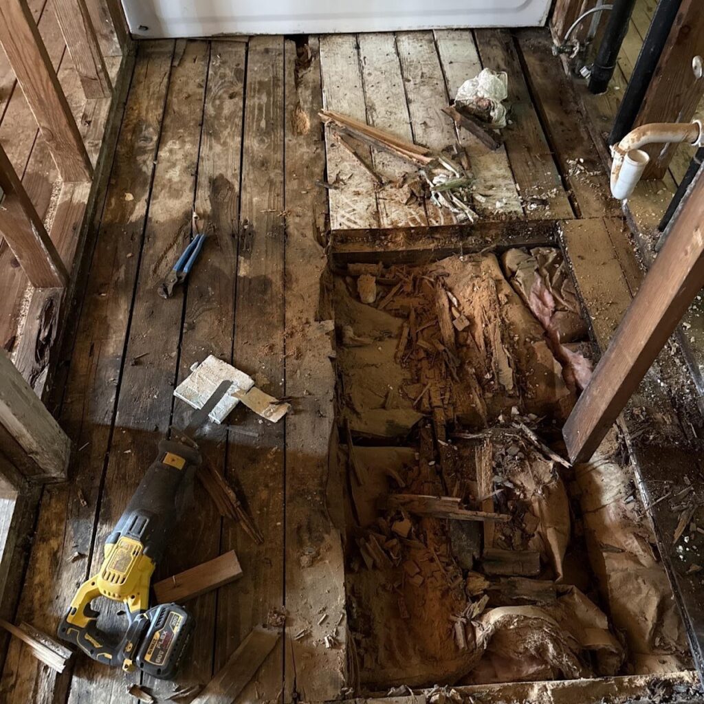 Pacific NW Restoration