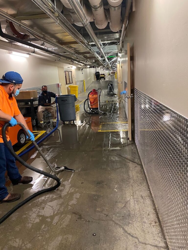 Pinpoint Property Services – Asbestos Removal
