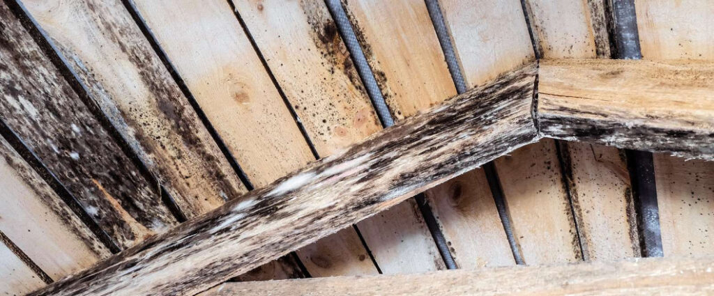 Progressive Mold, LLC