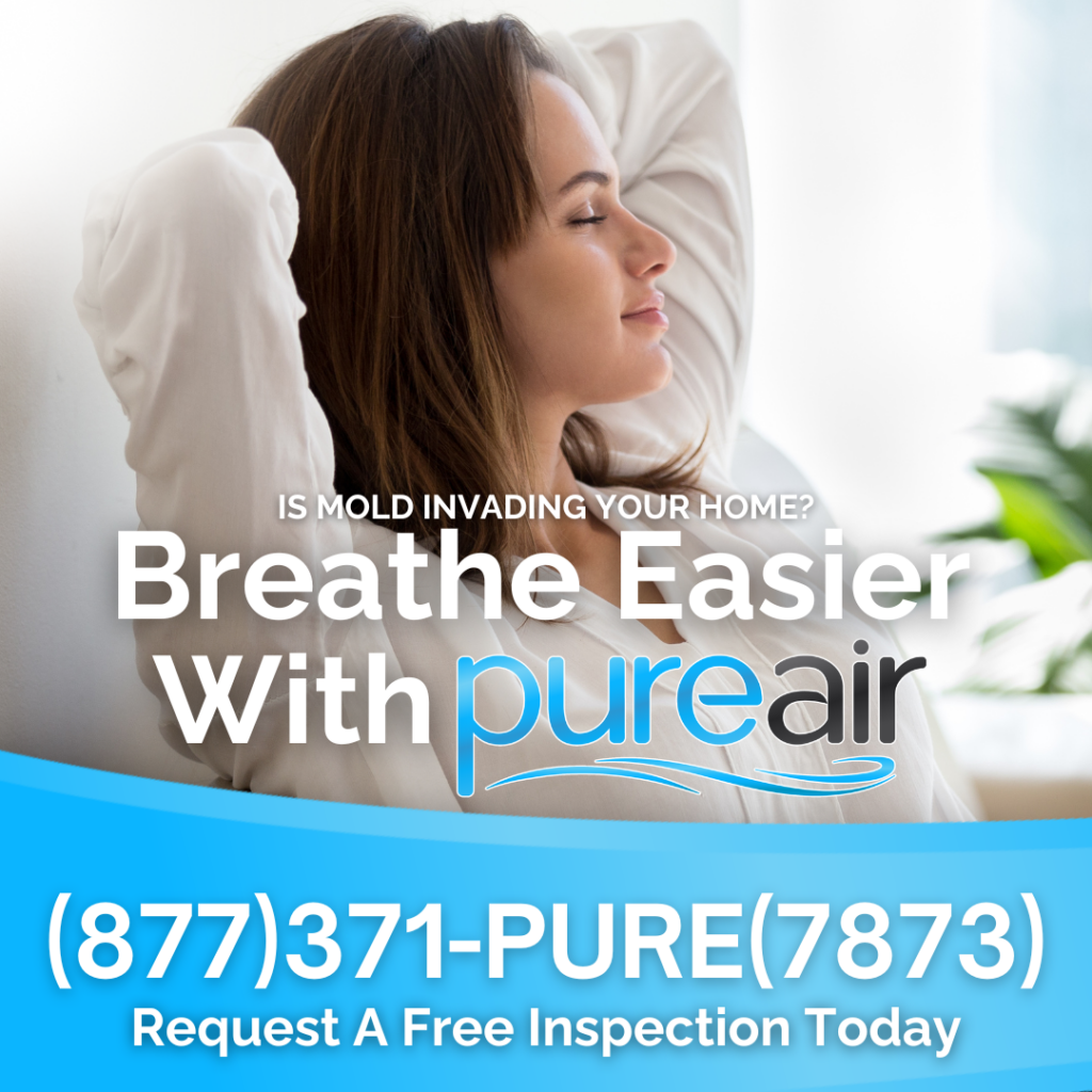 Pure Air North Carolina – Raleigh