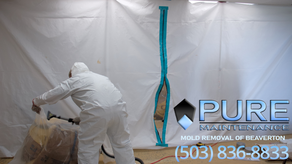 Pure Maintenance Beaverton