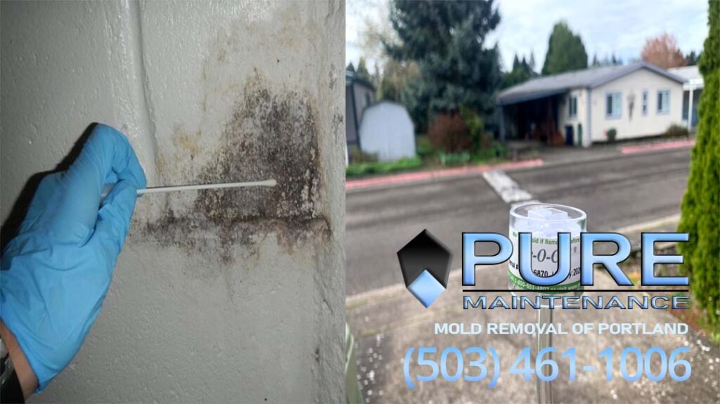 Pure Maintenance Portland