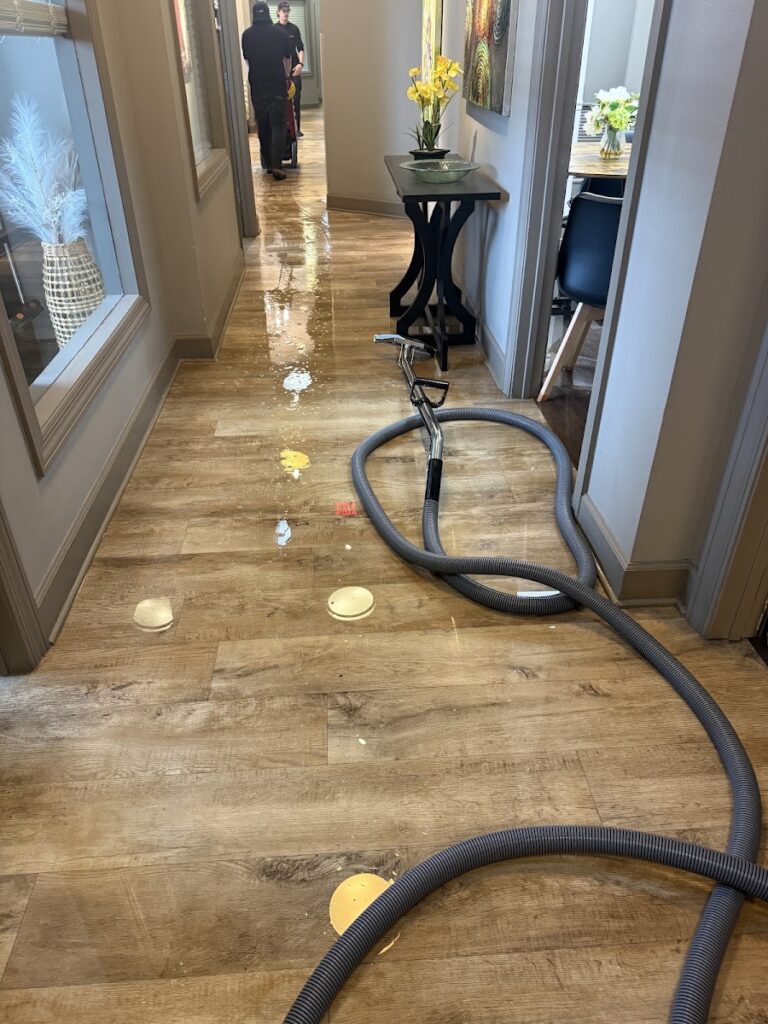 PuroClean of Winston-Salem North