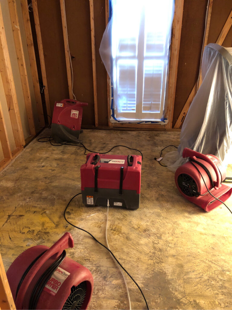 PuroClean Water/Mold/Fire Damage Experts