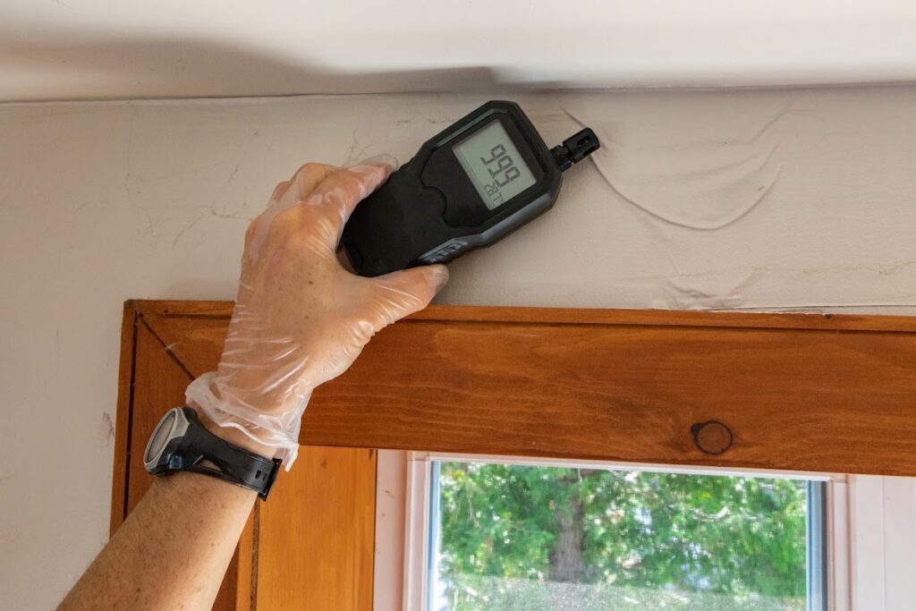 Quality Mold Inspection – Orlando
