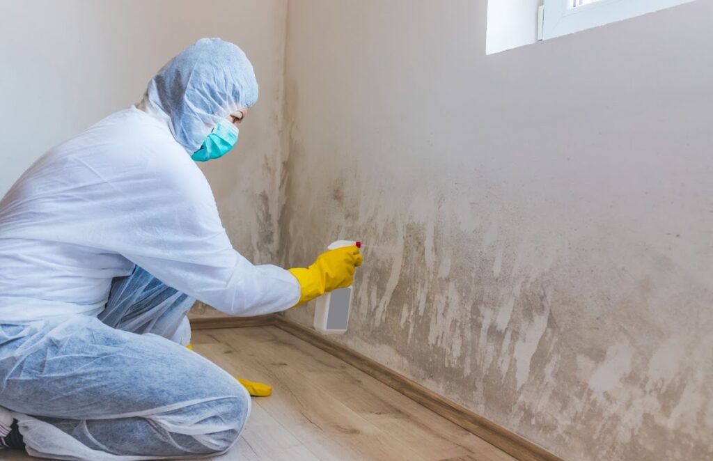 Quick & Easy Mold Solutions