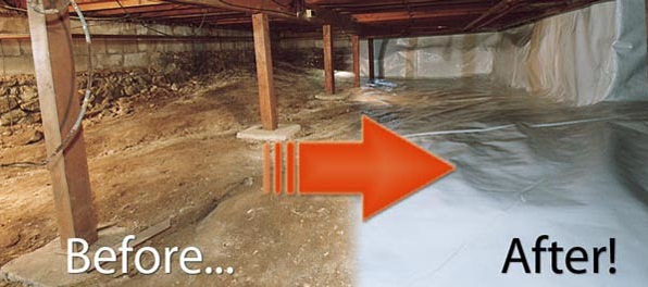 Raleigh NC Mold Testing and Remediation