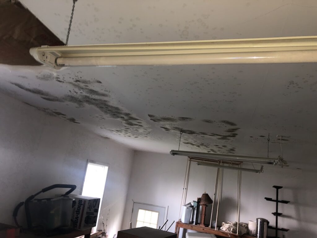 Rapid Air Testing LLC
