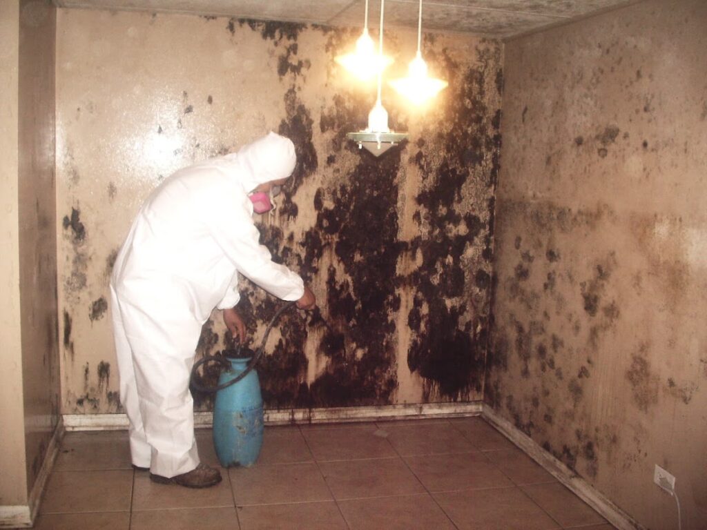 Reliant Mold Testing