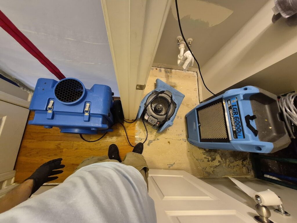 Restoration 1 of Durham