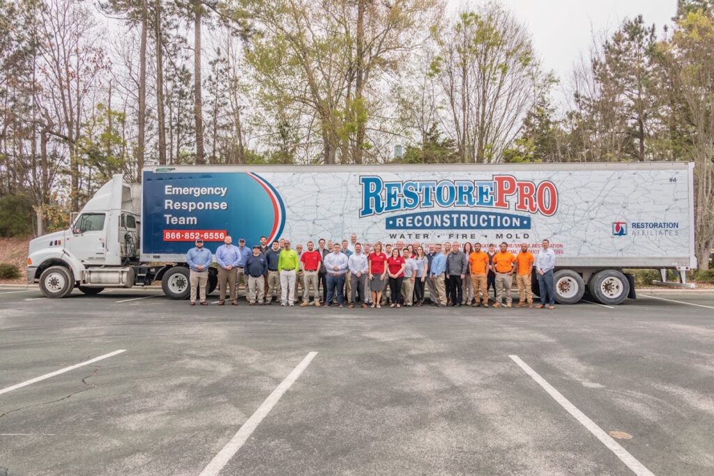 RestorePro Reconstruction