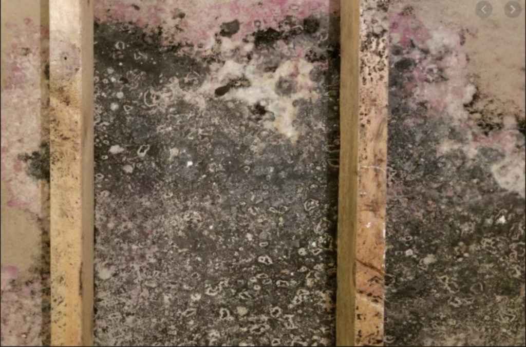 RKD Safety and Environmental [Industrial Hygienist, Mold Inspection, Air Quality]