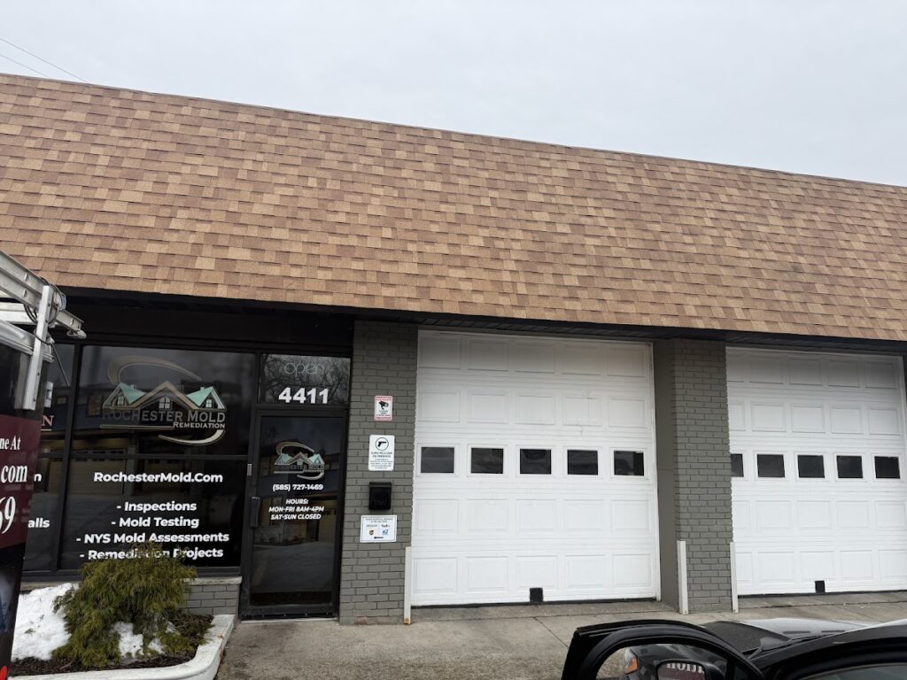 Rochester Mold Remediation