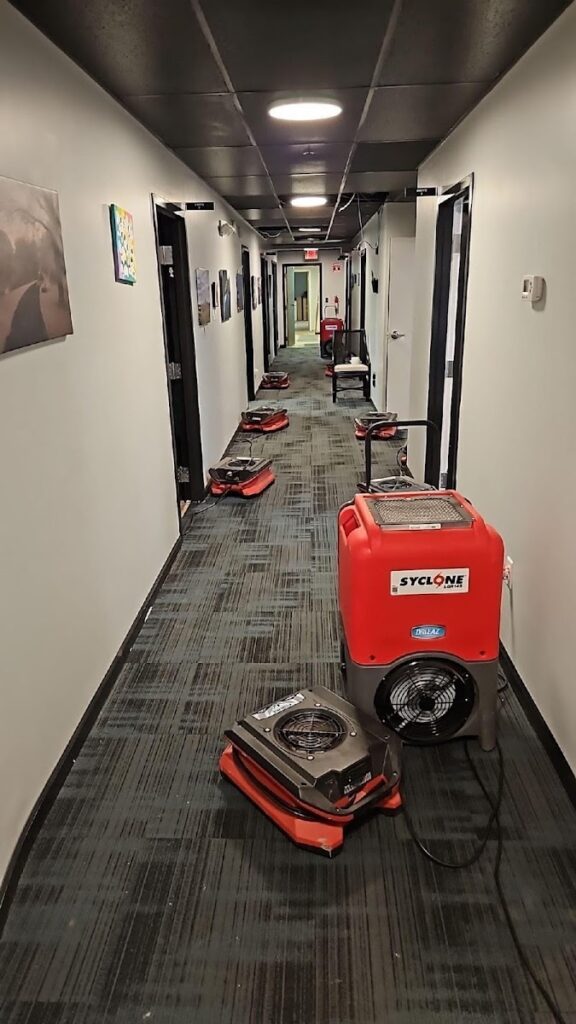 Rochester Restoration