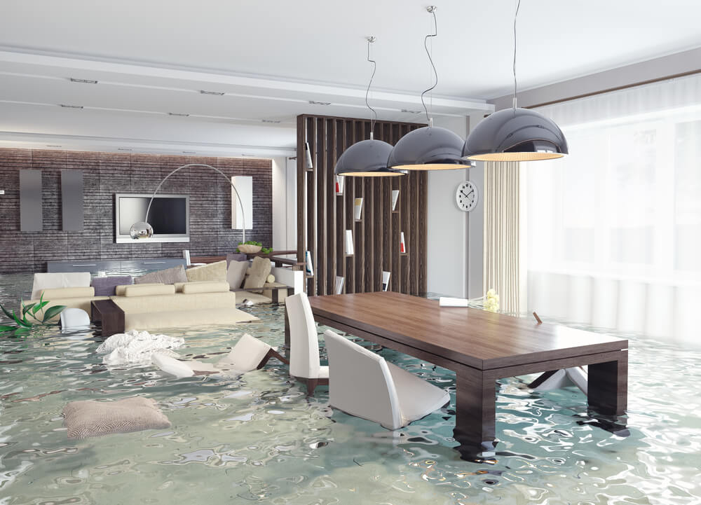 Salt Lake City Water Damage Utah Mold Removal