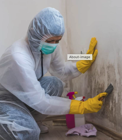 Shield Environmental Services