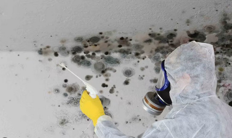 Smokkes Inspecting Environmental Mold and Mold Buster Group Services OH