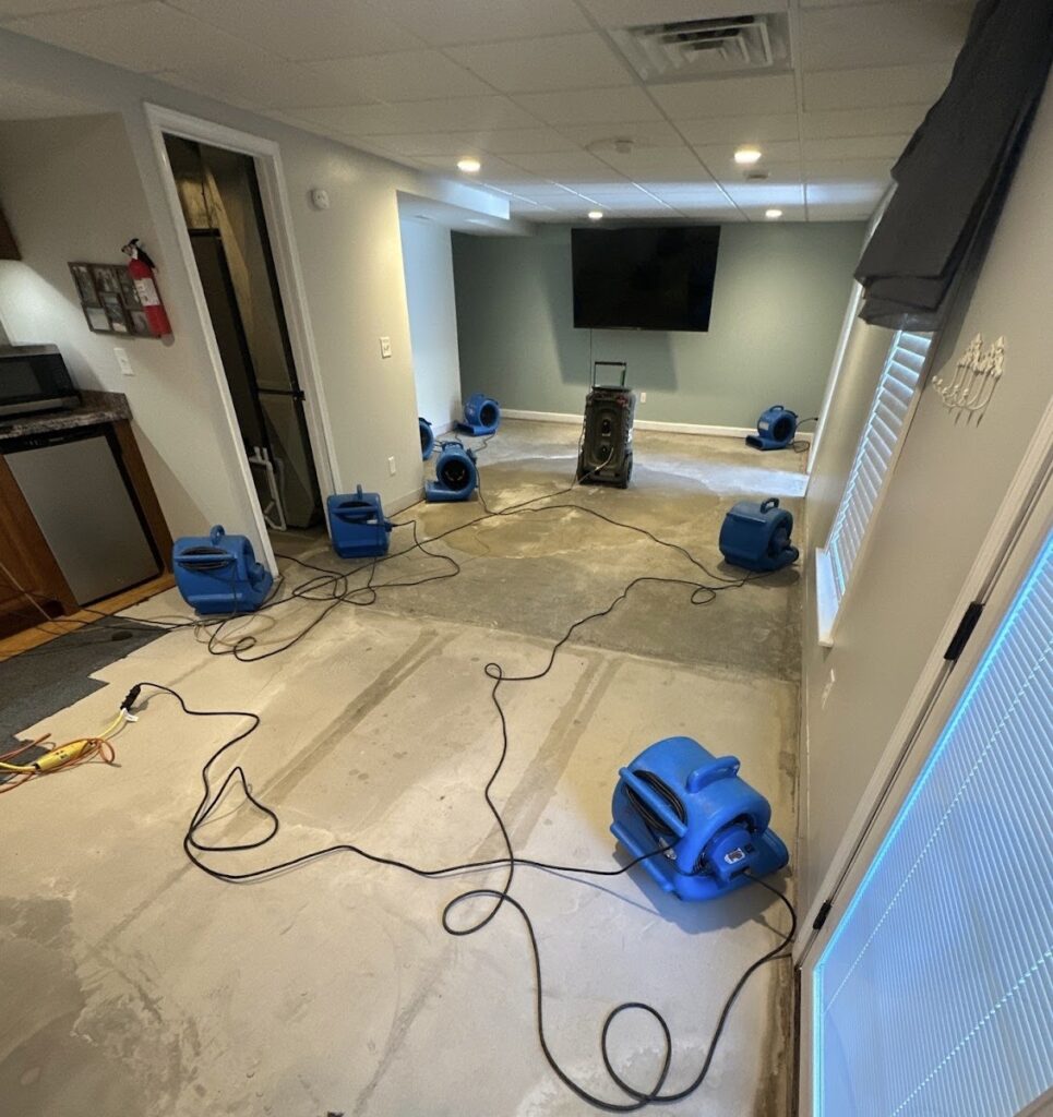 Spartan Services