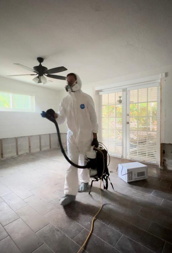 Spora Mold Remediation