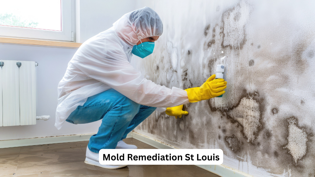 St Louis Mold Remediation Solutions