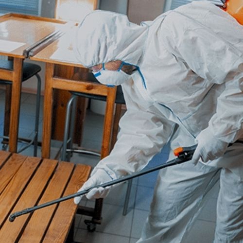Steriltec Mold Testing