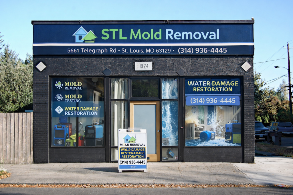 STL Mold Removal