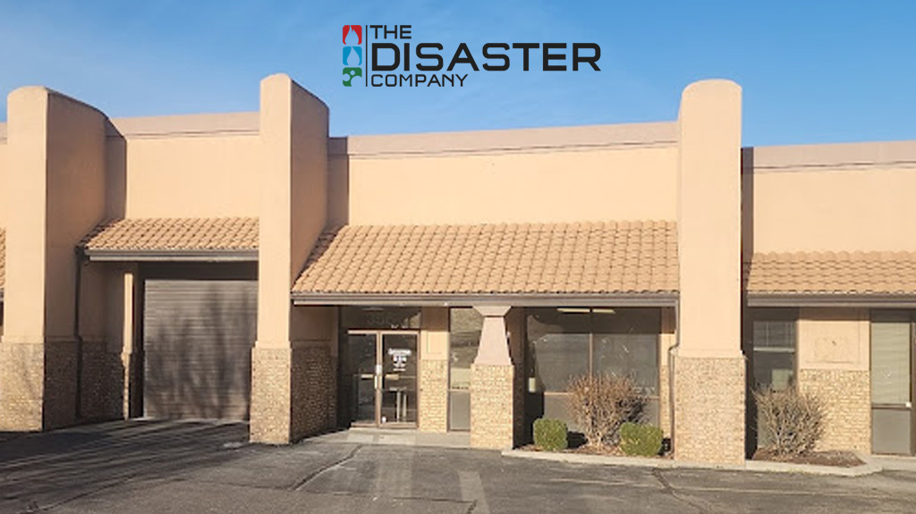 The Disaster Company