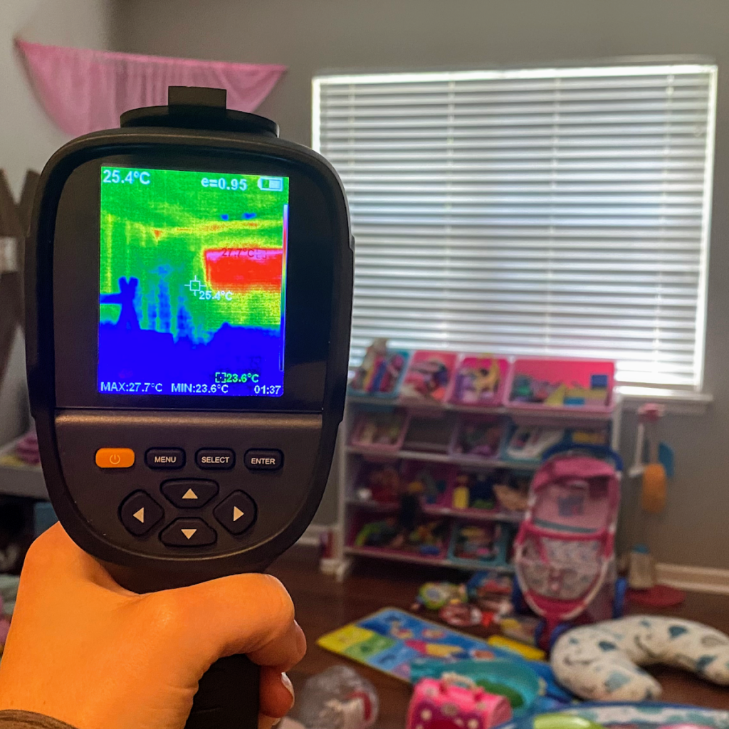 The Mold Girl – A Charlotte Mold Testing and Inspection Company