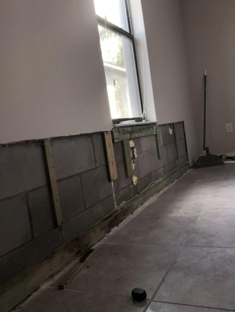 The Mold Pros of Indiana