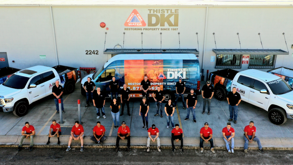 Thistle DKI