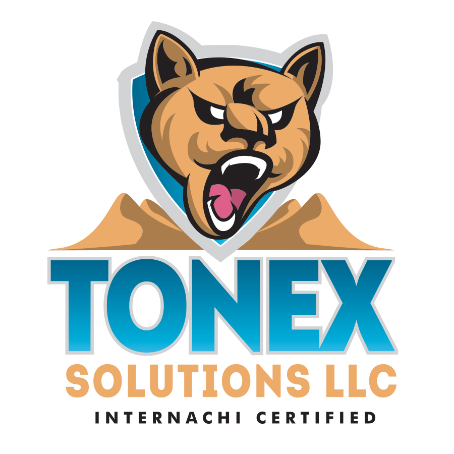 TONEX SOLUTIONS LLC
