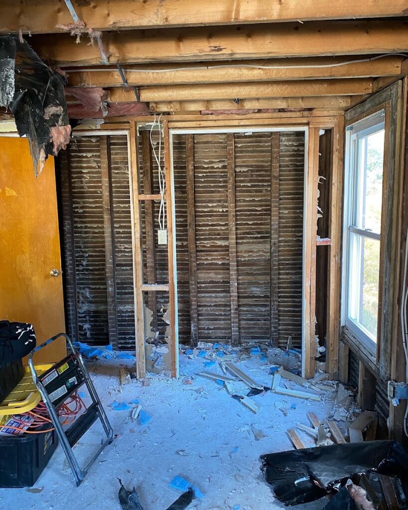 Top Shelf Mold Removal