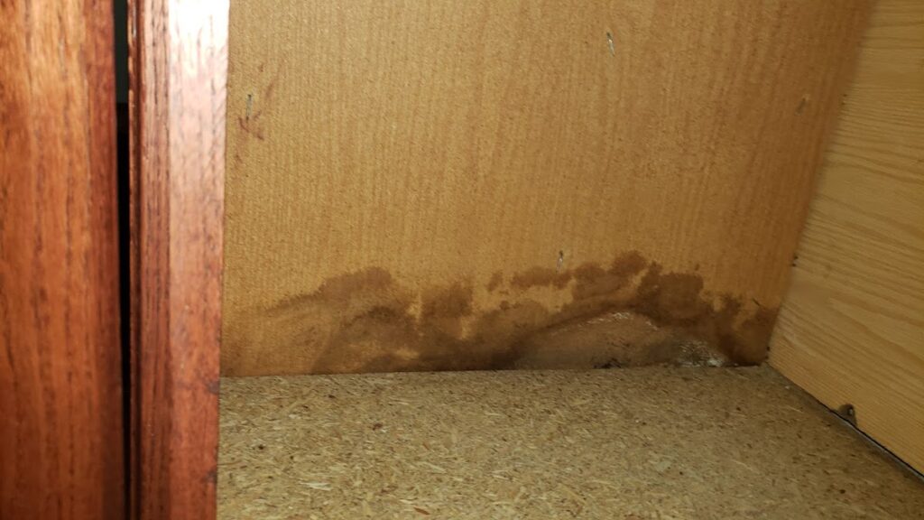 Tri County Mold and Radon Testing