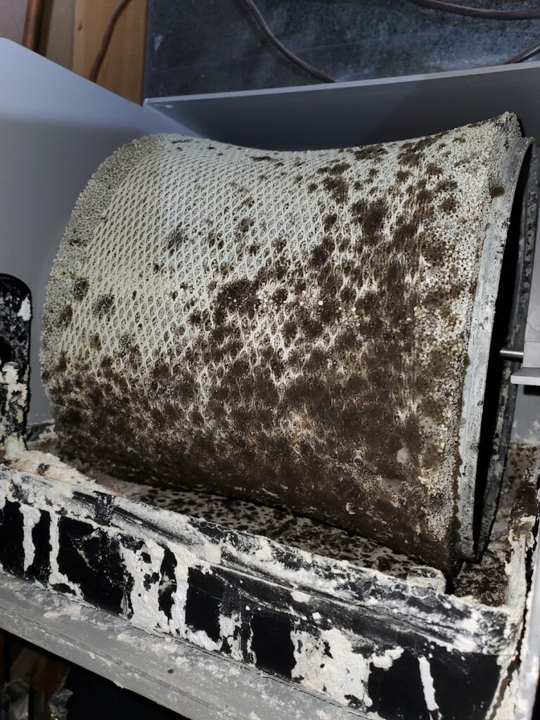 Twin Cities Mold Investigations