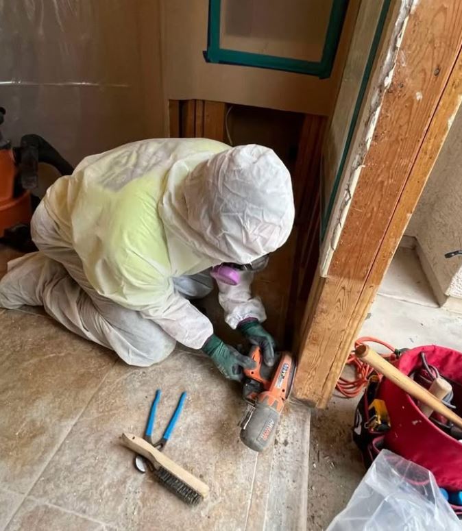 Vault Mold Removal