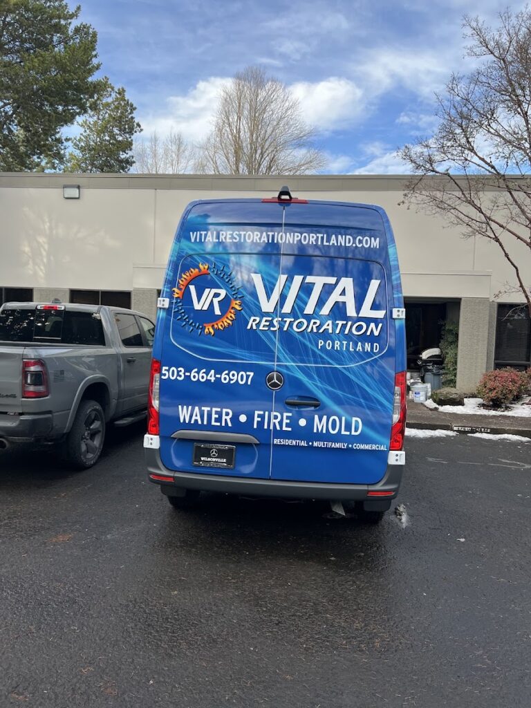 Vital Restoration