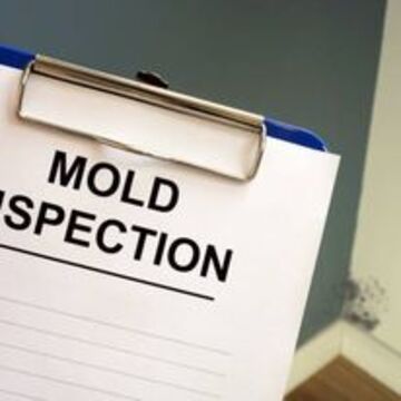 Westland Mold Inspection LLC