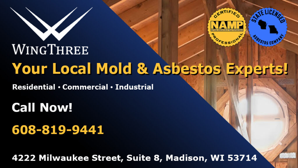 Wing Three Asbestos & Mold