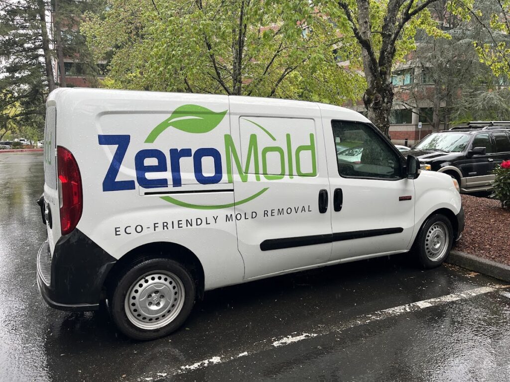 ZeroMold Provo| Mold Damage Restoration, Remediation, Testing & Removal
