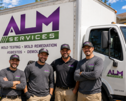 alm-services-3-Copy-1