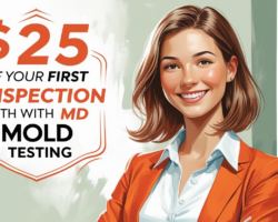 25 off md mold testing